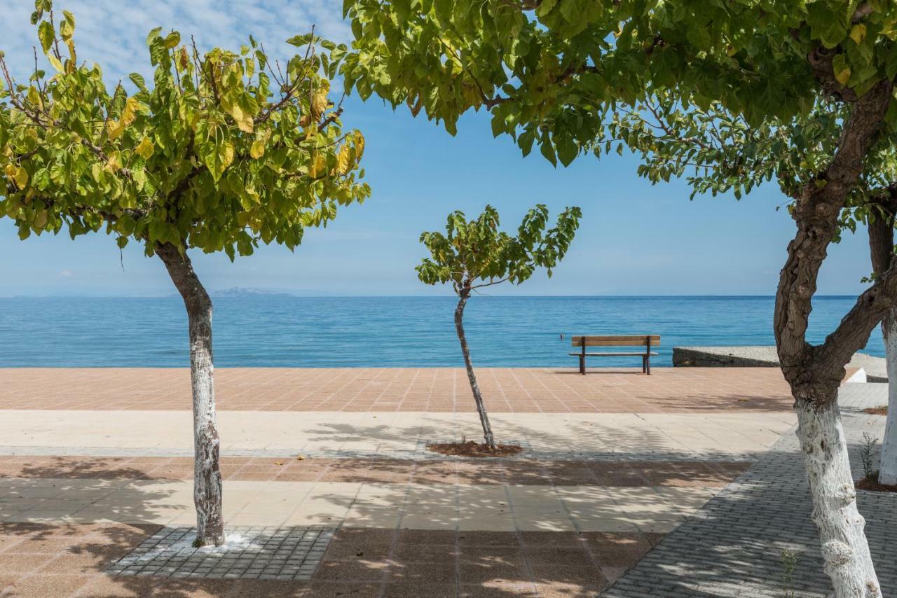 Areti Apartments Poros  Exteriör bild